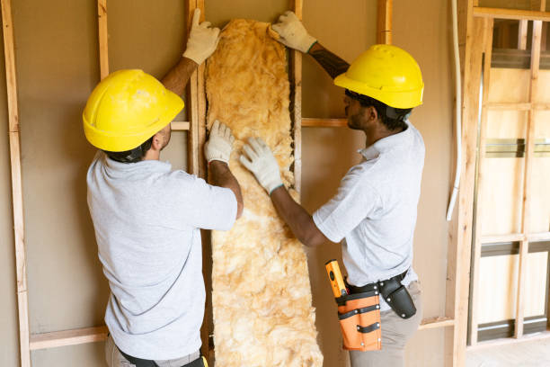 Best Insulation Air Sealing  in Lincoln, IL